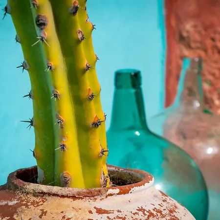 Casa Luna Penzion Agaete (Gran Canaria)